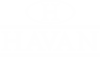 Havan